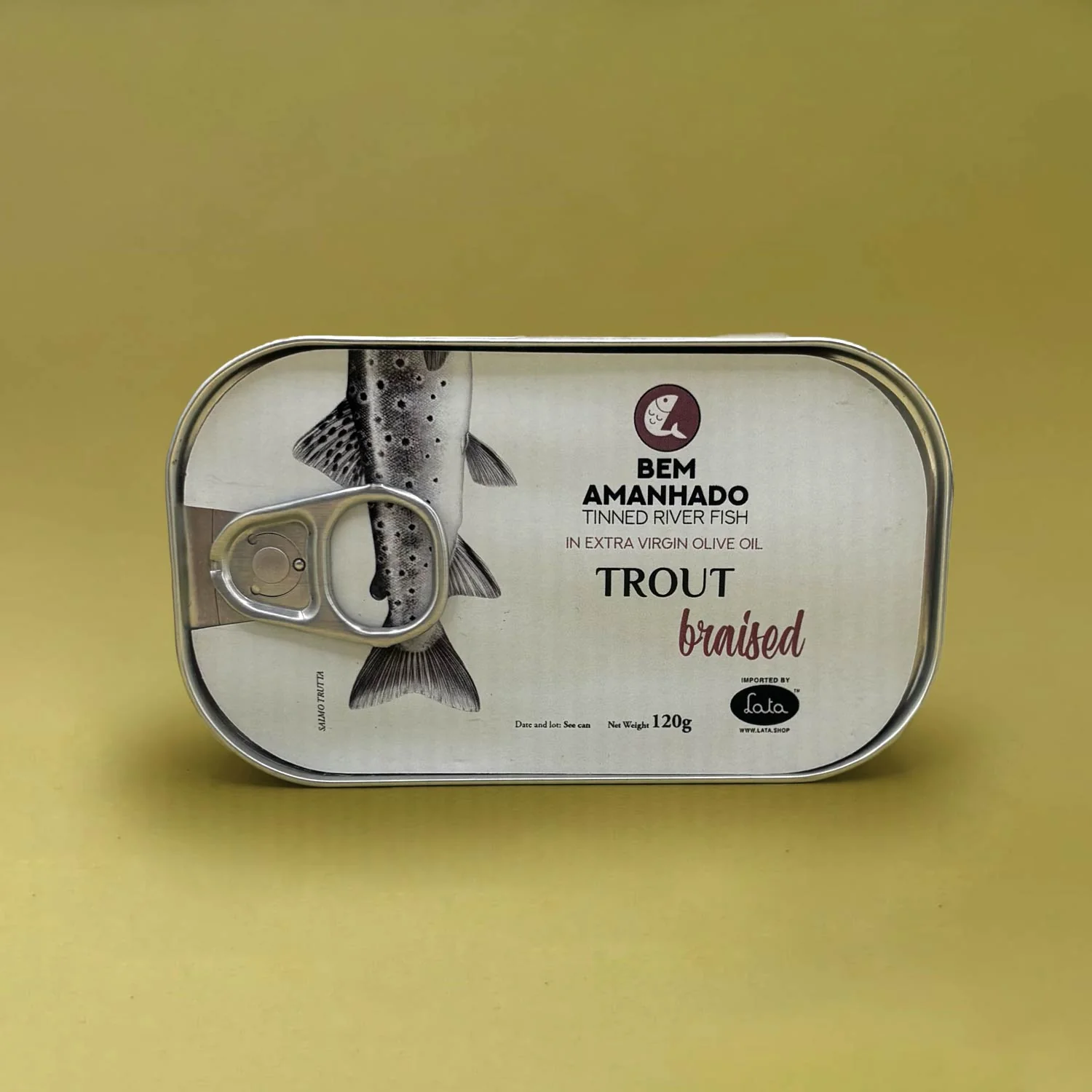 Solo Fish Box - Image 7